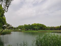 -无锡蠡湖国家湿地公园-蠡园