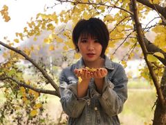 -千年银杏谷文化旅游区