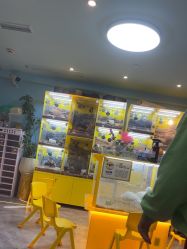 -神奇动物撸宠馆·羊驼·小浣熊·异宠(豫园店)