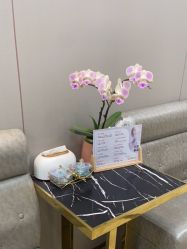 -杭州米兰柏羽医疗美容医院