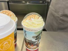 -雾与山茶(大禹城店)