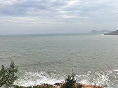 -广东惠东海龟国家级自然保护区