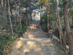 -紫金山山顶公园