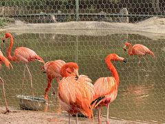 -石家庄市动物园