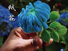 -中国丝业博物馆