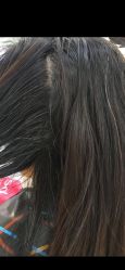 -爱维丽