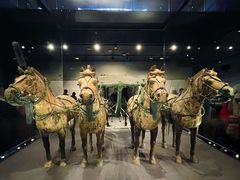 -秦始皇帝陵博物院-丽山园