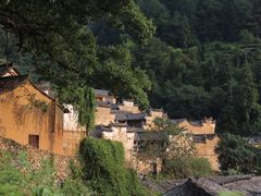 -杨家堂村
