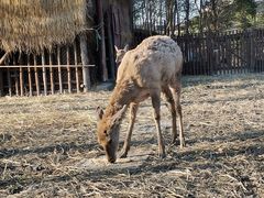-广富林郊野公园