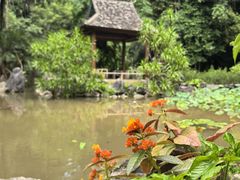 -中国科学院西双版纳热带植物园