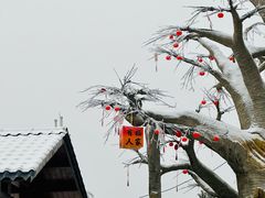 -大围山国家森林公园