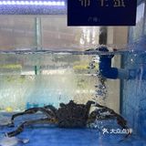 光谷创业街高大上却人均较低的东家院子，请客有面有里！