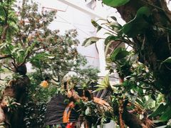 -正佳雨林生态植物园