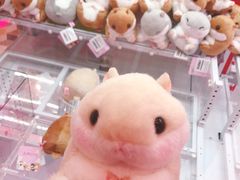 -LLJ夹机占(清河万象汇店)