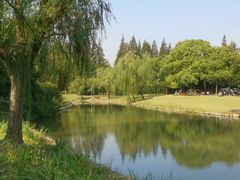 -上海滨江森林公园