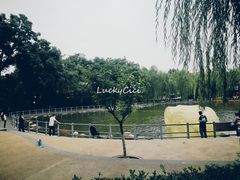 -莲湖公园