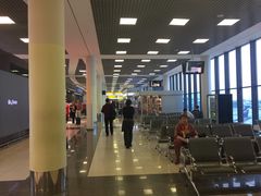 -谢列梅捷沃国际机场