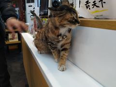 -贡天下山西特产(鼓楼街店)