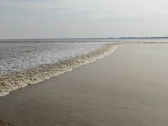 -观潮胜地公园