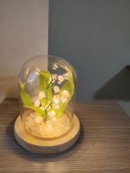 -敦南真爱月子会所(黄埔店)