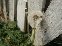 -小仙居·农家宴烤羊· 农庄