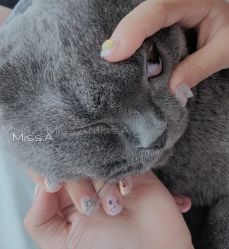 -Miss·A日式美甲美睫