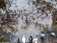 -南华寺素食馆(南华禅寺店)
