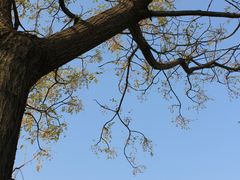 -盘龙城国家考古遗址公园