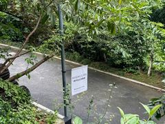 -十里琅珰