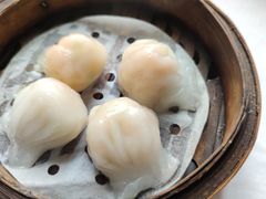 春柳虾饺皇-柳饮·春柳酒家