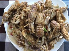 -烁佳海鲜大馅饺子