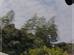 -中国茶叶博物馆(双峰馆区)