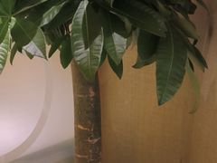 -桂满陇·手作小笼包&江南叫花鸡(中山公园店)