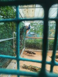 -萌宠亲子动物乐园(槐房万达店)