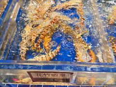 花竹虾皇-協成海鮮火鍋(老店)