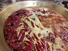 -小龙坎火锅(春熙太古里店)