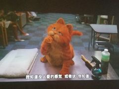 -猫猫幼稚园·撸猫·桌游·电玩