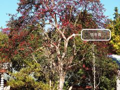 -莆田南少林寺