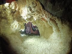 -湖南省地质博物馆