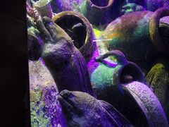 -太平洋海底世界