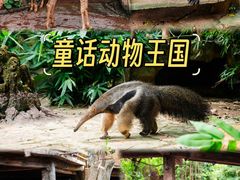-长鹿旅游休博园