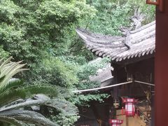 -生宇山珍野生菌汤锅•始于1999(双流古塔店)