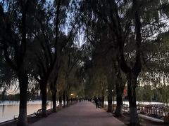 -北陵公园