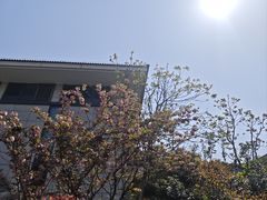 -余姚博物馆