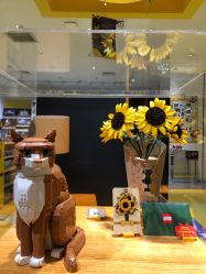 -乐高授权专卖店(岭南站NOVA店)