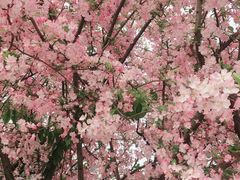 -成都中医药大学(温江校区)