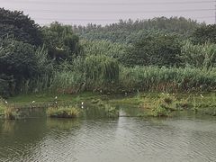 -沙家浜风景区