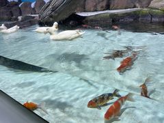 -海合安青岛极地海洋公园