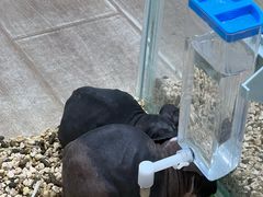 -鑫嘉汇购物中心