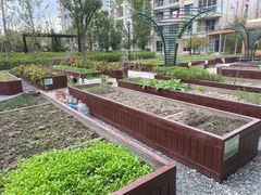 -梧桐人家中国太平国际健康颐养社区